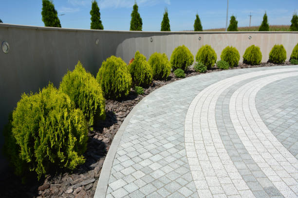 Best Driveway Paving Contractor  in Mayflower, AR